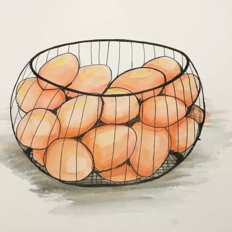 book illustrations artwork eggs